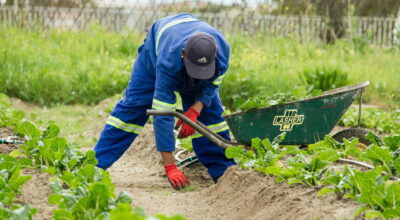 Rinnovato il Contratto provinciale di lavoro per gli operai agricoli e florovivaisti