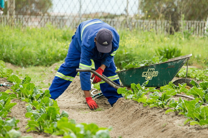 Rinnovato il Contratto provinciale di lavoro per gli operai agricoli e florovivaisti
